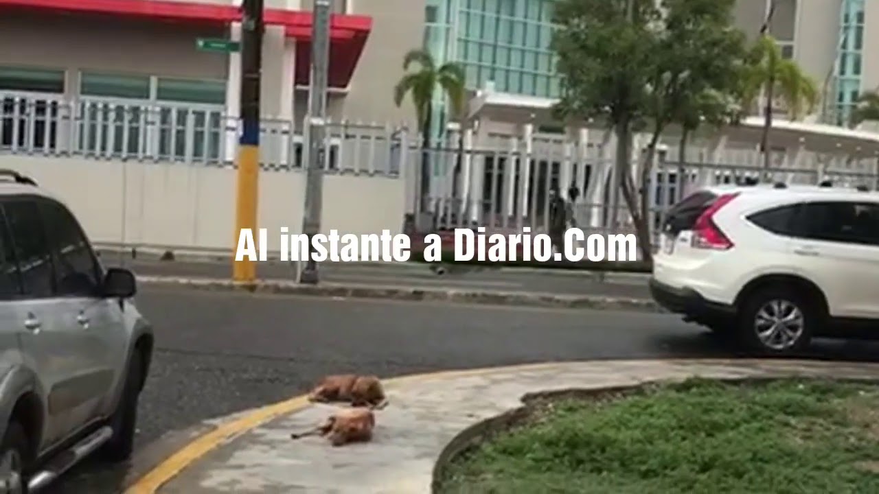 Ayuntamiento SDE se Convierte en un mal De agua. - YouTube