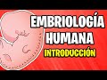 ✅ INTRODUCCIÓN A LA EMBRIOLOGÍA HUMANA [2021] Conceptos Básicos 📚