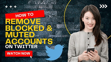 How to Remove Blocked and Muted Accounts on Twitter | Easy Tutorial