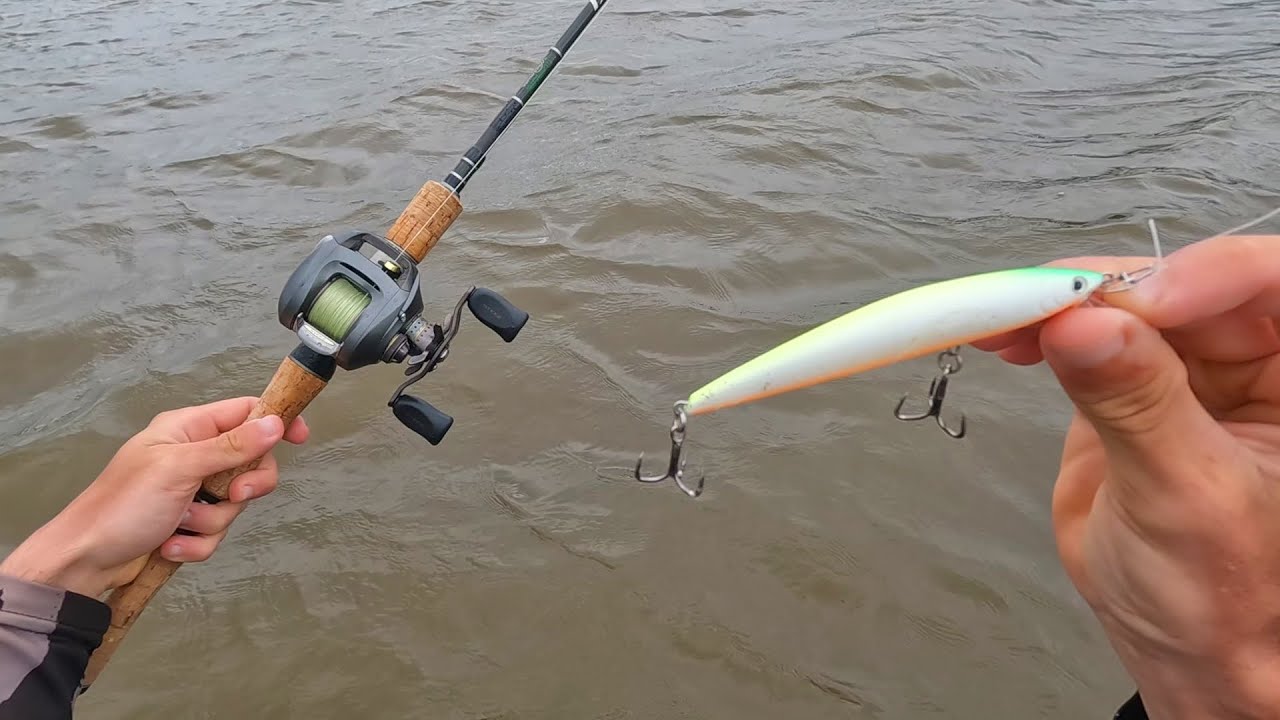 FALTOU ISCA PARA TANTO PEIXE. Cardume infinito de tucunarés. Pescaria de barranco. Sumax Bullet 95.