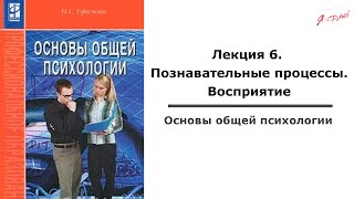 Основы общей психологии. Лекция 6. Познавательные процессы.  Восприятие