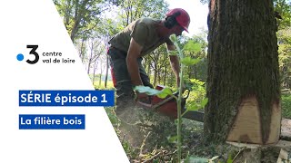 Filière Forêt Bois  La Forêt bouge - Centre - Val de Loire - Île de France