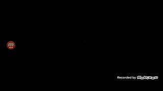 Thirteen WNET New York/PBS (1999)