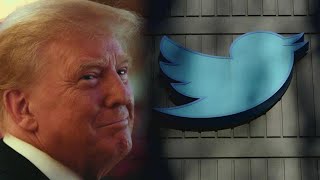 Twitter Controversy Elon Musk Reverses Trumps Ban From Platform