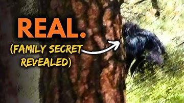 Clearest Bigfoot Video…and the Bizarre Story Behind It