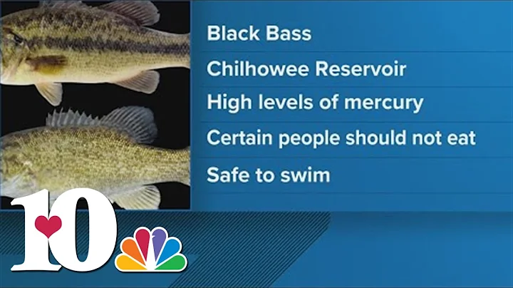 Chilhowee Reservoir precautionary fish consumption advisory