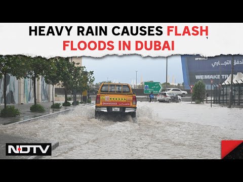 Dubai Airport Today | Heavy Rain Causes Flash Floods In Dubai, Schools Shut, Flights Hit