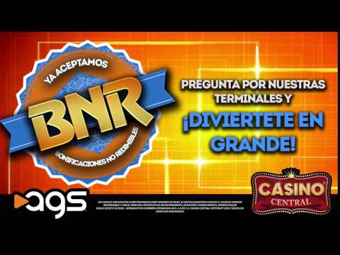 10Bet Casino дает 15 фриспинов на слот Guns’N Roses каждый день!
