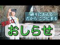 みなさーん！お知らせだよー！！No.306