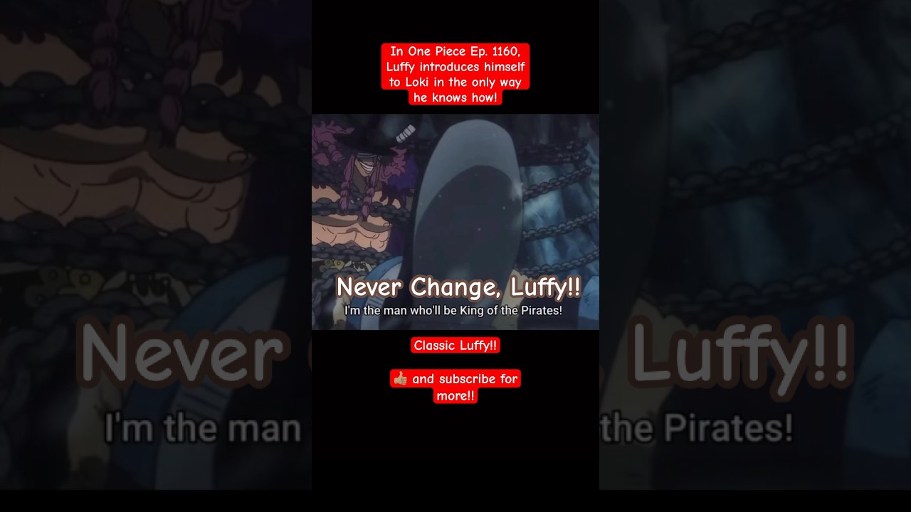 Luffy's TYPICAL Way to Introduce Himself!! | One Piece Highlights