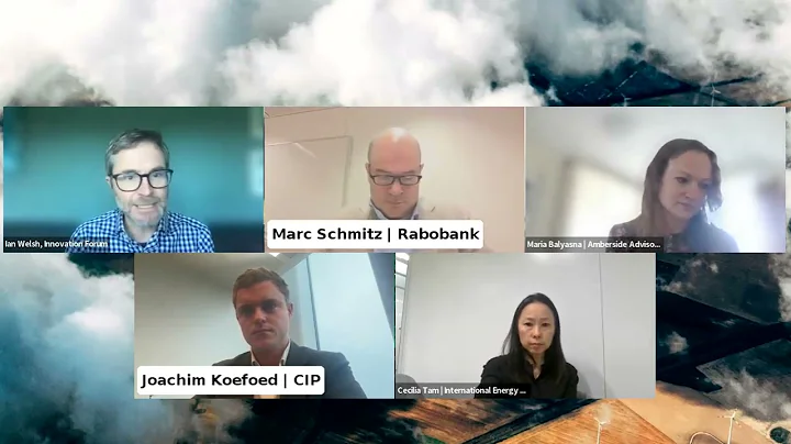 Financing the energy transition: trends, risks, and investor appetite