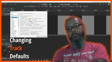 Changing Track Defaults in REAPER
