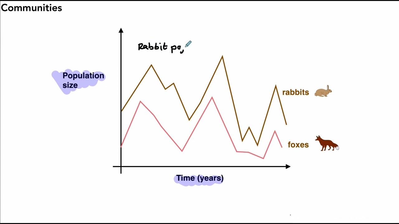 85 AQA GCSE Biology   Communities 1080p