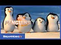 Official first four and a half minutes  penguins of madagascar
