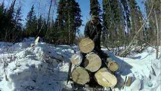 Harvesting Firewood | Yukon Men