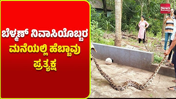 ಉಡುಪಿ: ಬೆಳ್ಮಣ್ ನಿವಾಸಿಯೊಬ್ಬರ ಮನೆಯಲ್ಲಿ ಹೆಬ್ಬಾವು ಪ್ರತ್ಯಕ್ಷ | News Karnataka