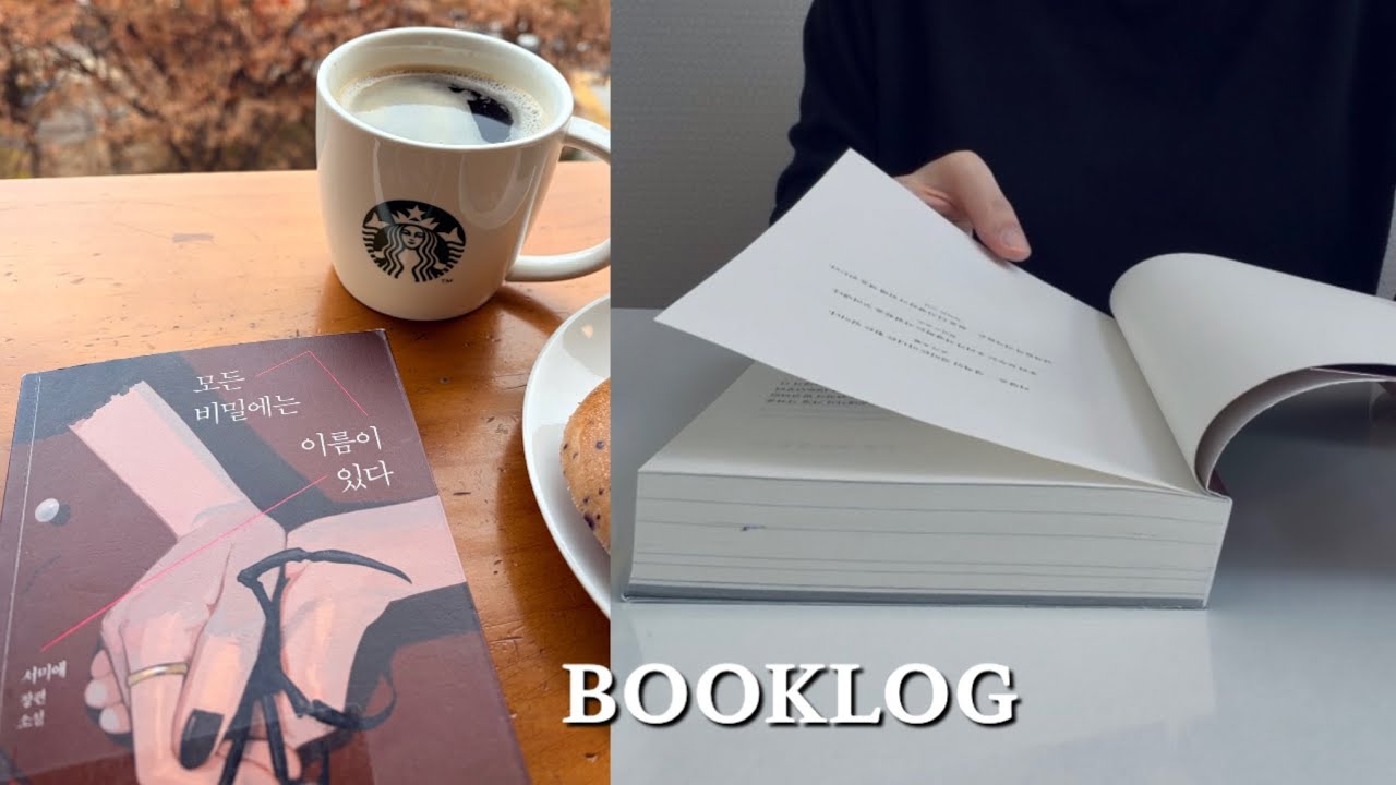 200권 넘게 읽는 다독가의 올해의 책 (더보기)ㅣ벽돌책 ㅣ책추천ㅣ독서브이로그