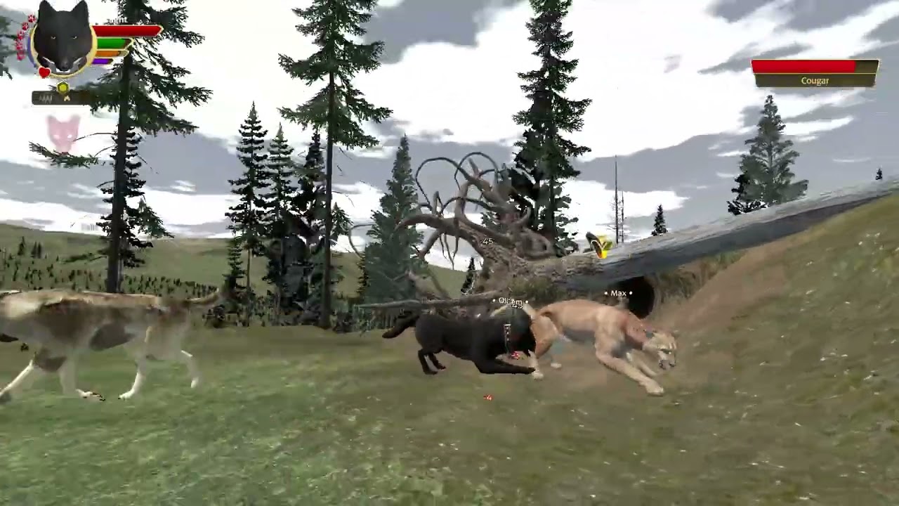 WolfQuest killing rival wolves  (no mercy)