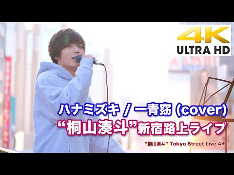 【4K】“桐山湊斗” ハナミズキ / 一青窈 (cover)   4K動画