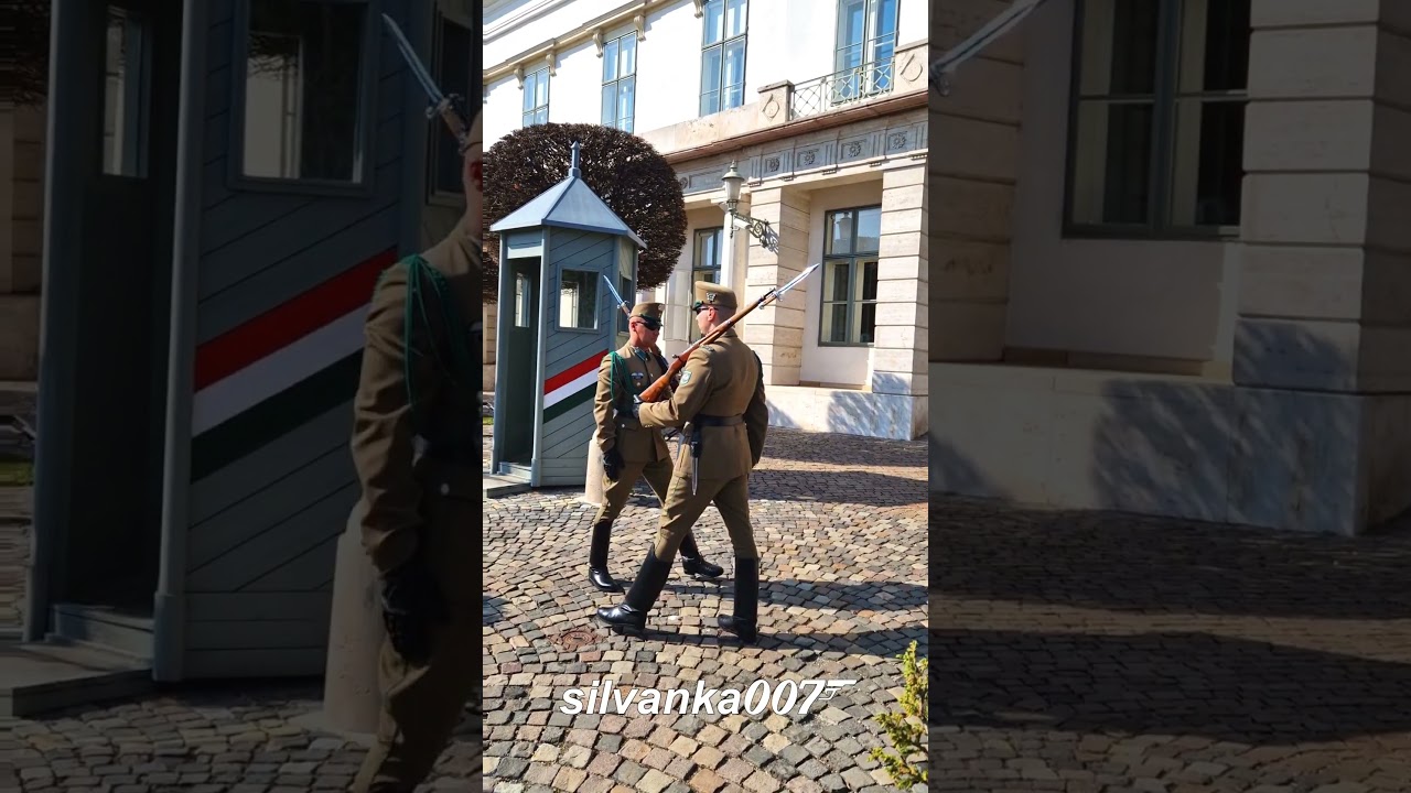 LEFT RIGHT HUNGARIAN GUARDS OF THE PRESIDENTIAL PALACE BUDAPEST | Viral TikTok Music Trending Shorts
