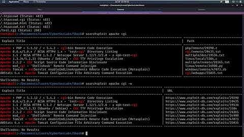 CyberSecLabs - Shock - Linux [Walkthrough]