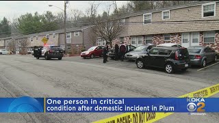 Domestic Situation Prompts ‘Shelter In Place’ Order At Plum Schools