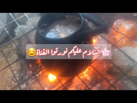 لأول مرة أجرب شاورما التونة راينا فيها الكلمة الطيبة صدقة متى ياغز ة بدك تفرحي وتسكري على جراحك