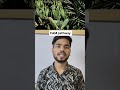 How desert plant's make their own food. NCERT class 11th.