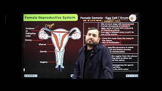 Class 10th female reproductive system alakh Pandey sir #PW#neet2026