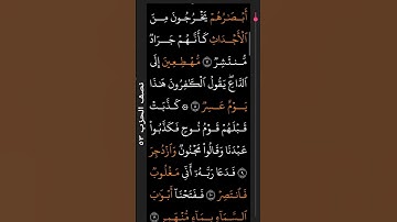 القران الكريم بصوت علاء عقل #اجر_لي_ولكم #duet #تيك_توك #لايك #اكسبلور