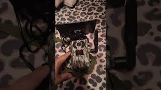 4g solar cellular trail camera off temu review and video examples of the quality 
