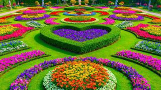 Explore a Cozy Garden House 🌸 Inspiring Backyard Landscape Ideas 2026