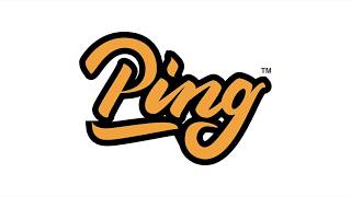Ping Logo Challenge