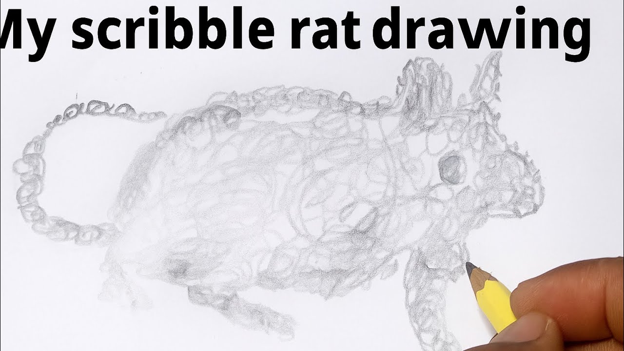 My scribble rat drawing 