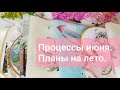 363 Текущие процессы июня. Летний старт и немного о планах на лето🌺