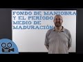 Fondo de maniobra y el período medio de maduración