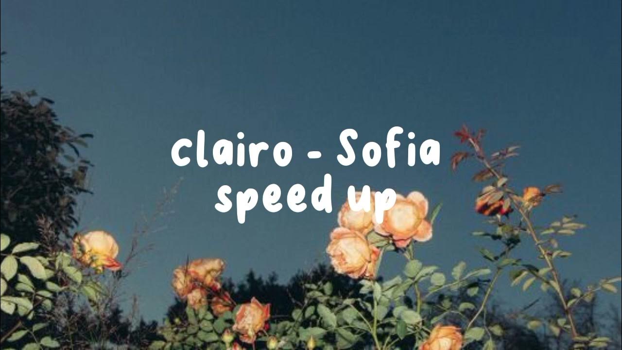 clairo - Sofia ( speed up) clairo - Sofia ( speed up)