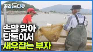 손발 잘 맞는 아버지와 아들의 만선 새우잡이｜교동도 부자 어부의 모습｜한국기행｜#골라듄다큐