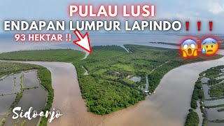 Pulau LUSI hasil Endapan LUMPUR LAPINDO Sidoarjo !!!