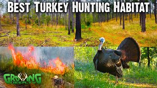 Scouting for Turkey Hunting: Identifying the Ideal Habitat 753