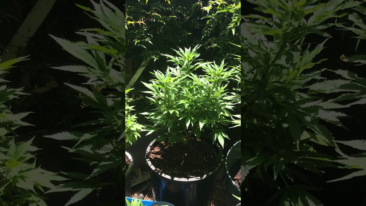 NZ outdoors 2021 ready for summer