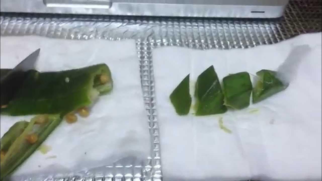 Fake Vegetables from China. YouTube