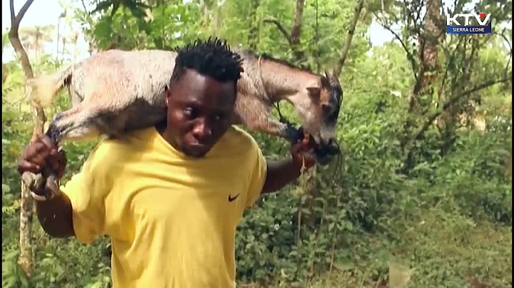 Sierra Leone movie - Village Thief