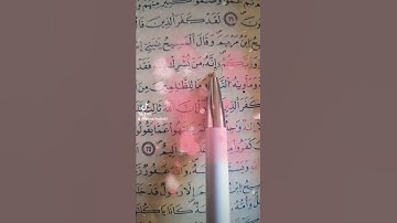 سورة المائدة
