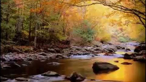 تلاوة رائعة للشيخ ادريس ابكر