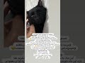 آقابلال حالش خوب نیست دعاش کنید گربه گربه خانگی حمایت از حیوانات حمایت کنید 