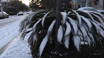 ¿Es raro que nieve en Florida?