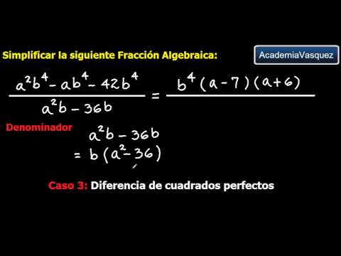 Simplificación de Fracciones Algebraicas, Ejercicio 2