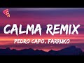 Miniature de la vidéo de la chanson Calma (Remix)