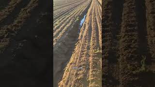 Salty Field We Will Help Fix